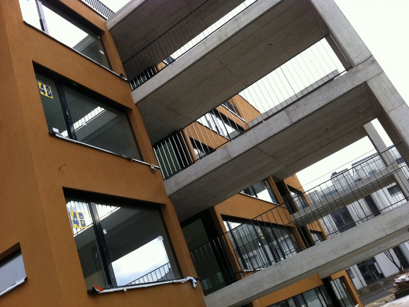 Neubau MFH, Schneebelistrasse 1, Zürich